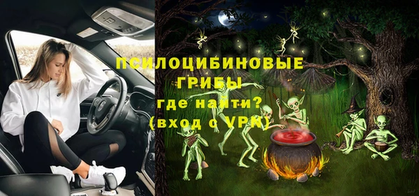 стафф Алексин